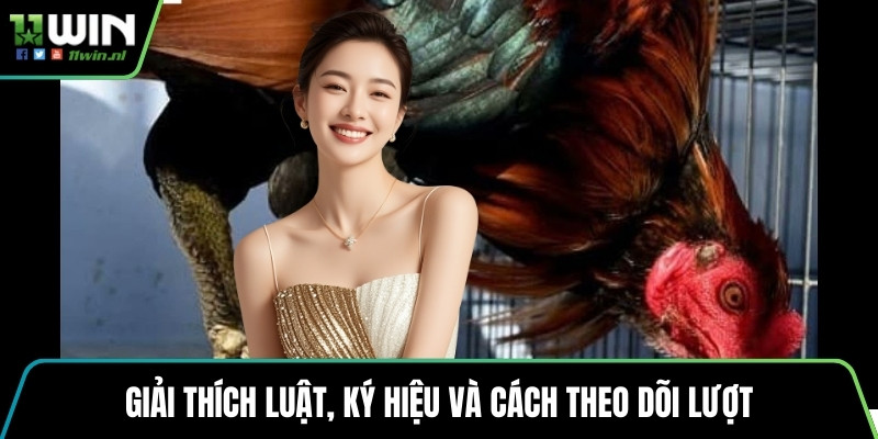 Giải thích luật, ký hiệu và cách theo dõi lượt